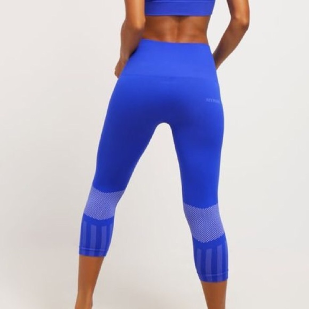 Ivy Park Leggings (Blue)